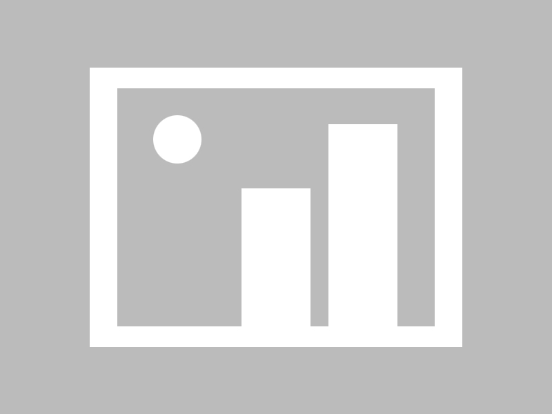 震惊欧美人与禽竟发生性关系，背后原因令人咋舌