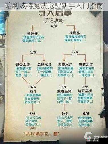 哈利波特魔法觉醒：新版本资源高效规划全指南