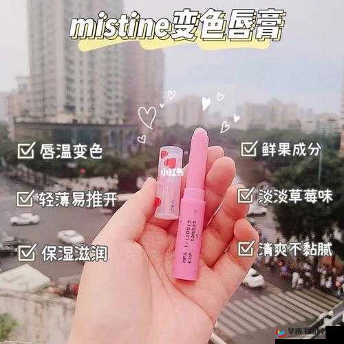 蜜丝婷大草莓和小草莓对比-差异何在