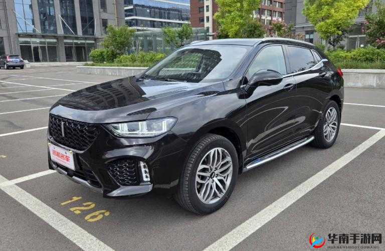 weyvv5 国产的 SUV 免费：实力与颜值并存