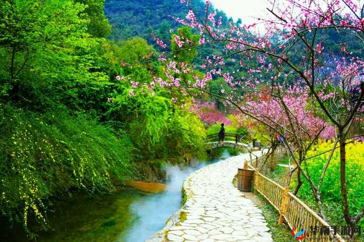 桃花仙洞：芳草萋萋，水潺潺
