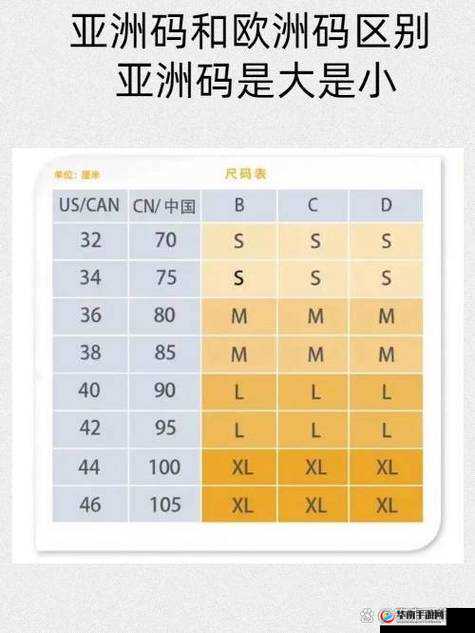 亚洲尺码和欧洲尺码 2023 更新：尺码差异与新变化