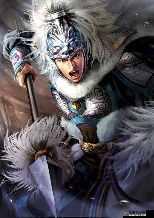 三国志 13：英雄之赵云的传奇征程