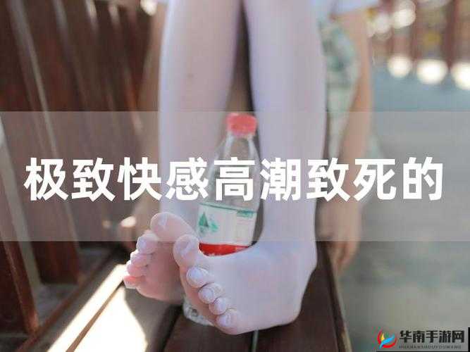 JAVAPARSERHD 高潮：探索未知的极致体验