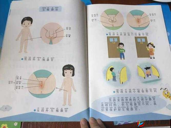 未发育孩交videoss：探索儿童性教育的新视角