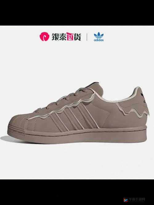 三叶草 gw6181 相关内容展示