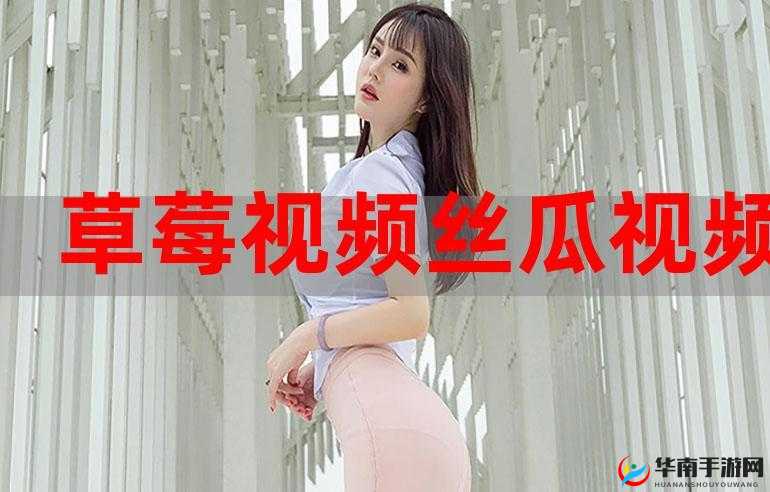 小猪草莓丝瓜深夜释放自己：歌词魅力，点燃生命之火