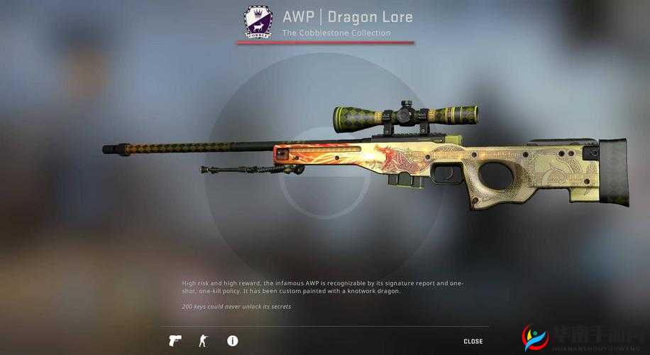 日本csgo大姐姐awp多少钱加入仙踪林：引发关注