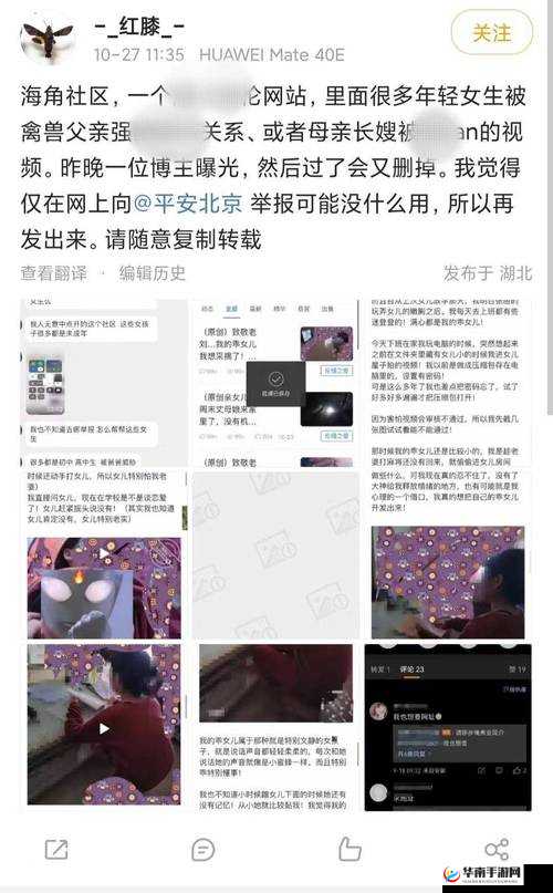阿 老 妇 乱 的视频海角社区：揭秘背后的真相