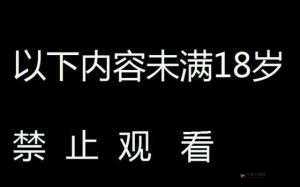 请确保您已年满 18 岁：谨慎操作相关事项