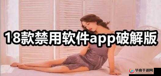 夜里 30 款禁用软件：深入了解其禁用背后的原因
