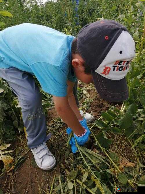 12 岁拔萝卜一边疼一边叫：讲述少年劳动时的特殊经历