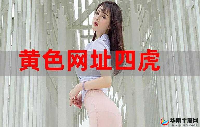 红潘阁黄色网：独特视角下的神秘之域