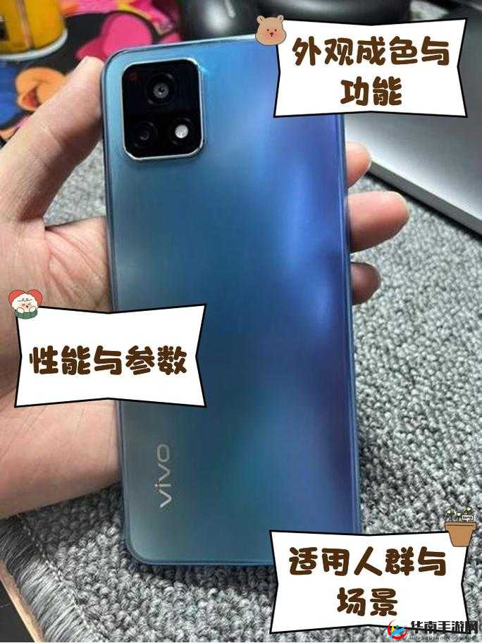 成色好的 Y31S 标准版视频：详细介绍与功能展示