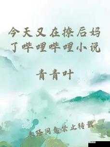 今天又在撩后妈了哔哩哔哩小说之情感纠葛与复杂故事