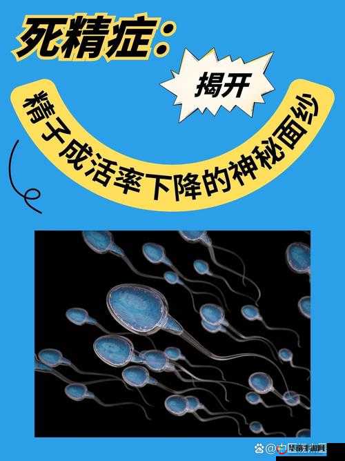 探秘国精产品一品二品国精破解：揭示背后的神秘面纱