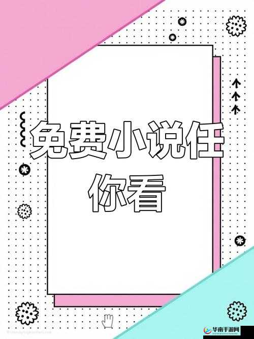 大杂烩小说全集阅读 500 精彩无限畅享