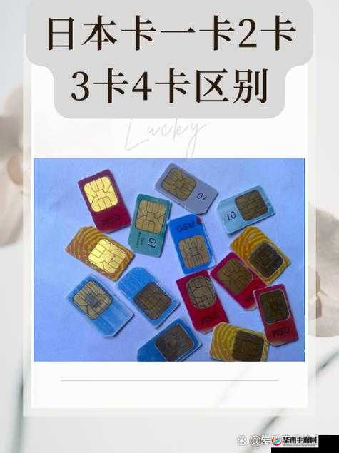 国产卡二卡三卡四卡单身的别样精彩人生