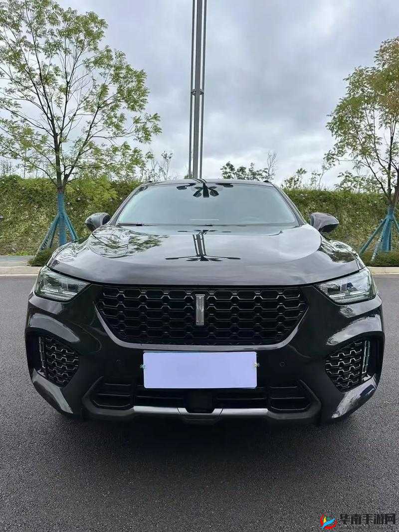 weyvv5 国产的 suv 深度评测：全方位细致剖析与解读