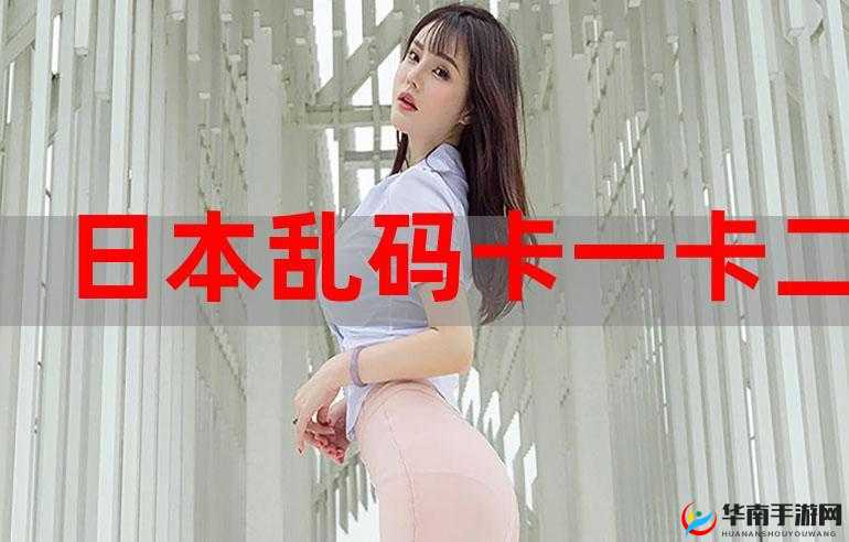 国产乱码卡 1 卡二卡 3 卡 4 卡 5：一个充满挑战的新领域