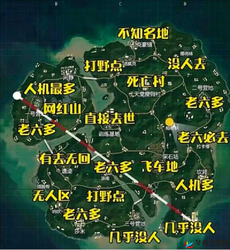 和平精英雨林地图高效打野策略，巧妙避开热门区域，精准获取关键资源全攻略
