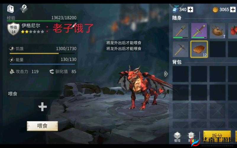冰原守卫者如何高效养龙？揭秘资源管理技巧与龙价值最大化秘诀？