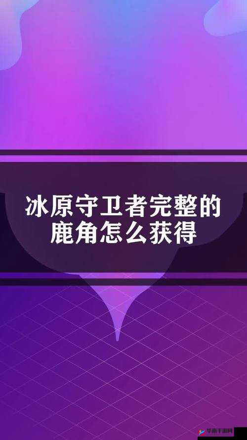 冰原守卫者鹿角，究竟如何解锁幸运与时尚的双重神秘密码？