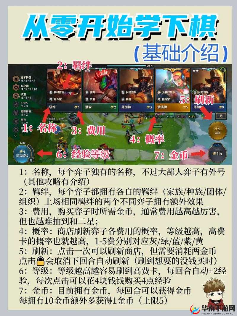 如何在金铲铲之战中利用狮子狗快速上分？底层逻辑与操作深度揭秘！