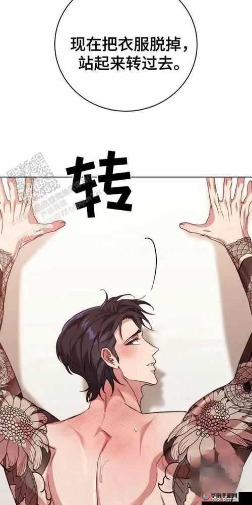 请问这个漫画代码究竟代表着怎样精彩的漫画内容呢？漫画代码大揭秘